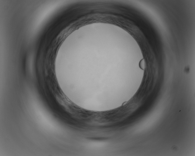 X0000115790189200912241839
