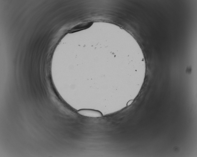 X0000115790193200912241839