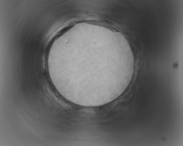 X0000115790194200912241839