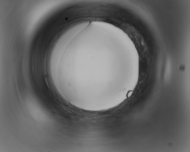 X0000115790195200912241839