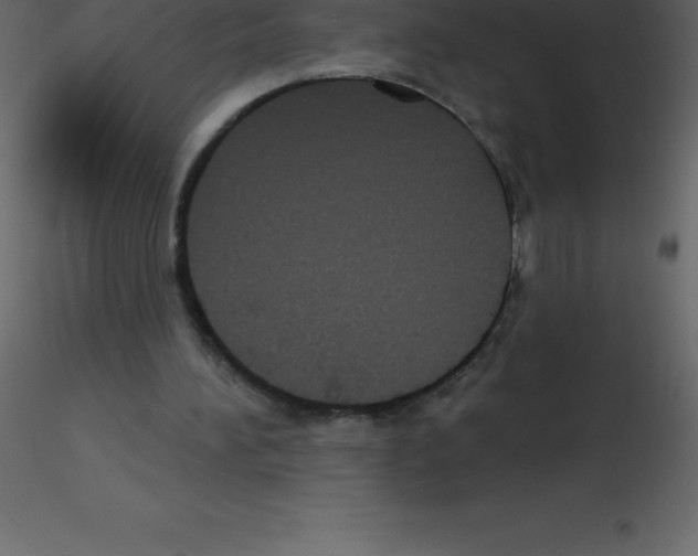 X0000115790196200912241838