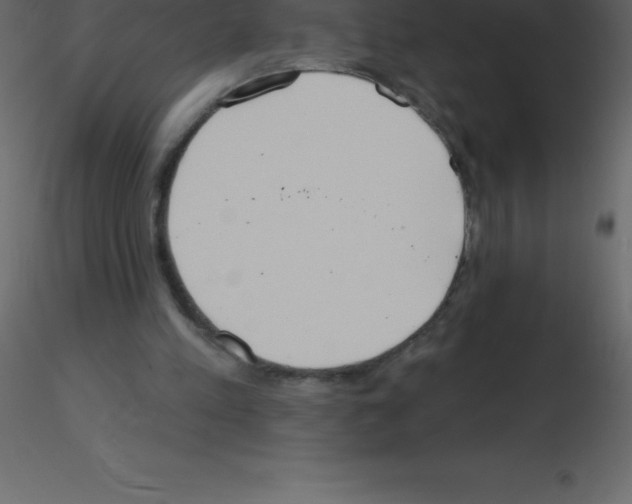 X0000115790197200912241838