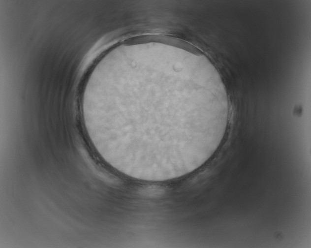 X0000115790198200912241838