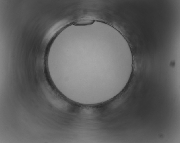 X0000115790199200912241838