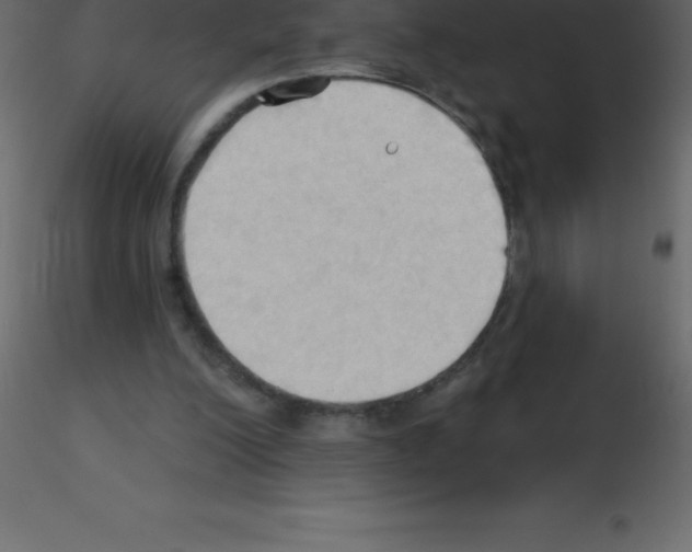 X0000115790200200912241838