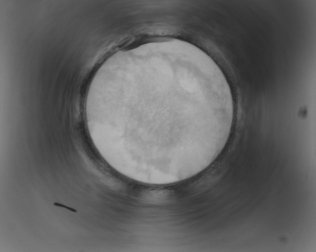 X0000115790202200912241838