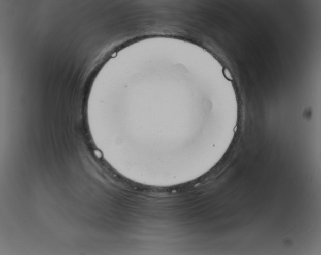 X0000115790203200912241838