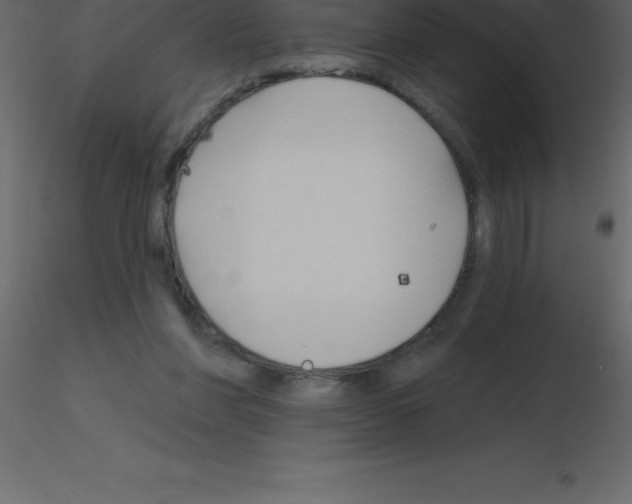 X0000115790206200912241838