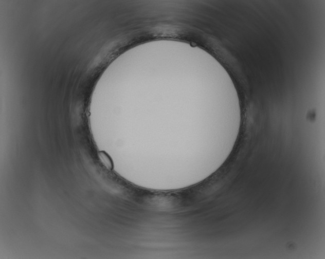 X0000115790209200912241838