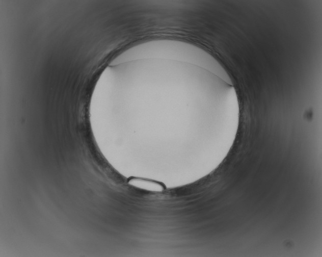X0000115790211200912241838