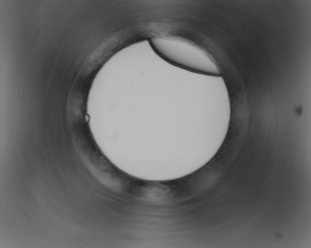 X0000115790215200912241838