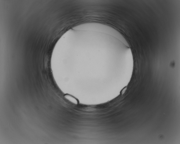 X0000115790219200912241838