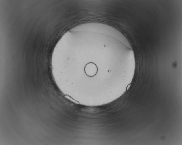 X0000115790221200912241838