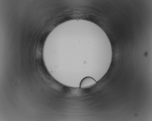 X0000115790226200912241838