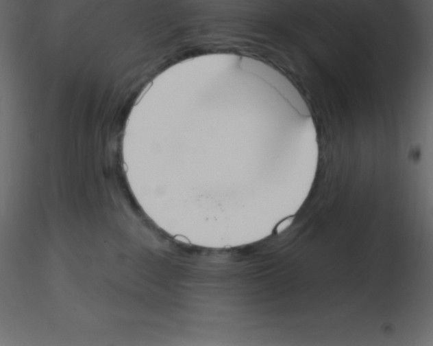X0000115790235200912241838