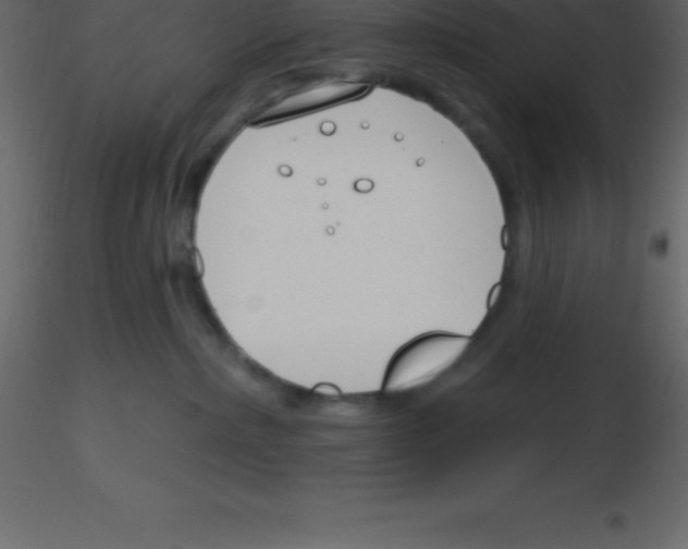 X0000115790236200912241838