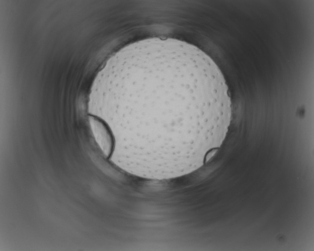 X0000115790238200912241838