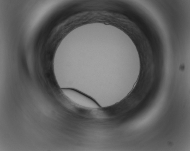 X0000115790239200912241838