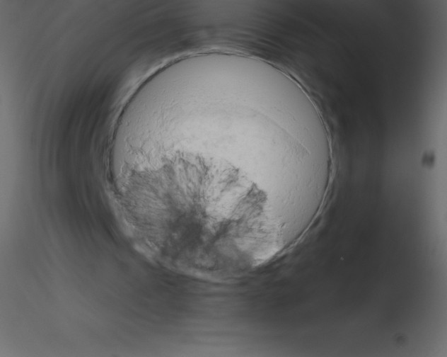 X0000115790241200912241837