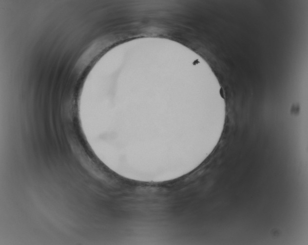 X0000115790242200912241837