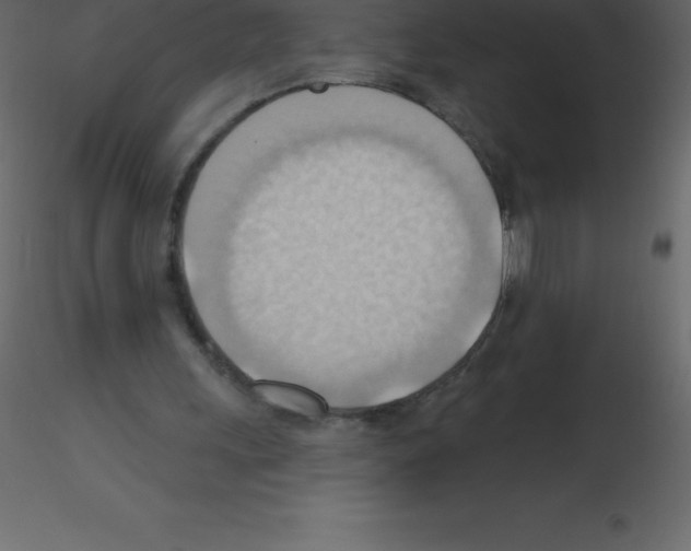 X0000115790243200912241837