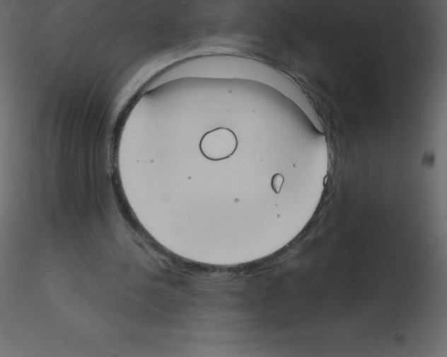 X0000115790244200912241837