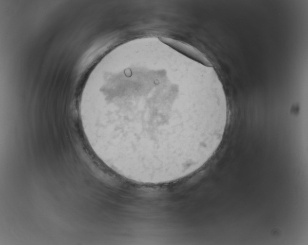 X0000115790245200912241837