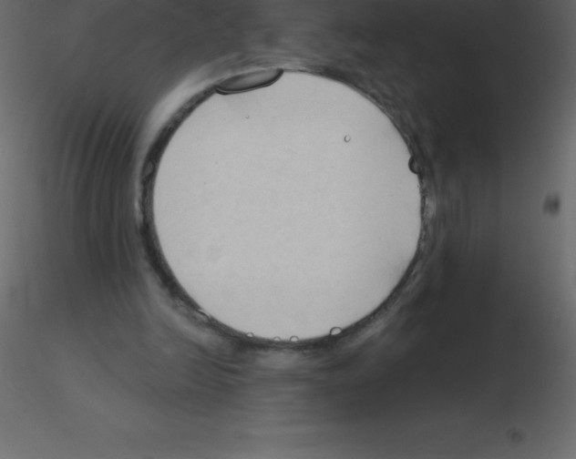 X0000115790246200912241837