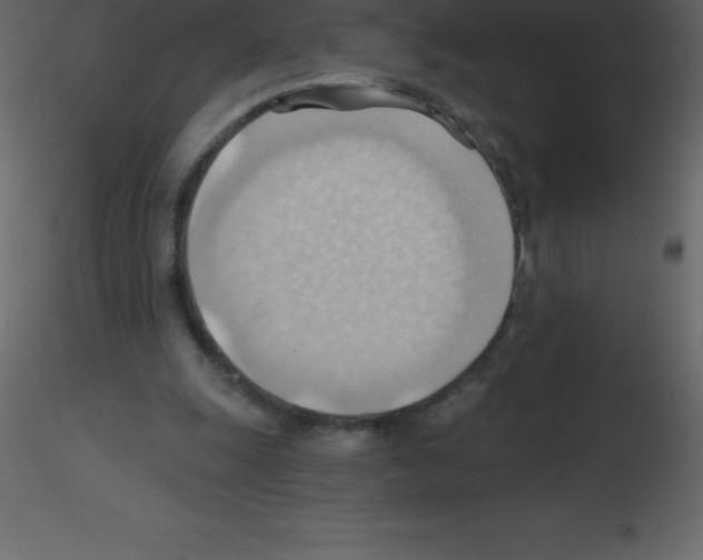 X0000115790247200912241837