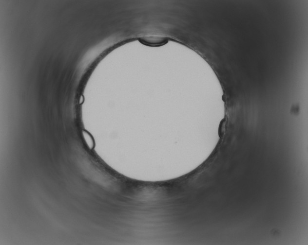 X0000115790248200912241837