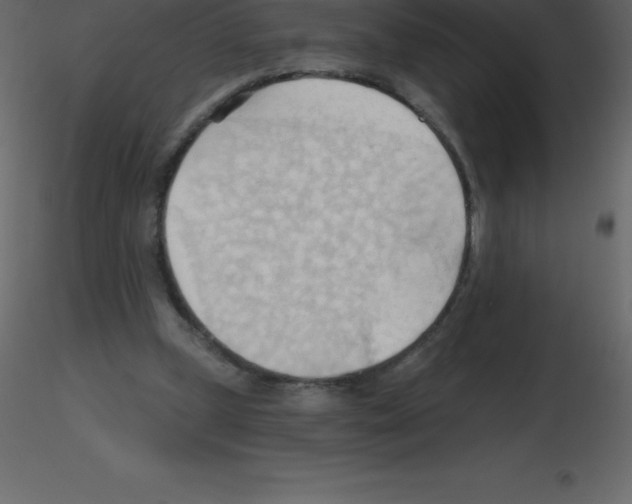 X0000115790249200912241837