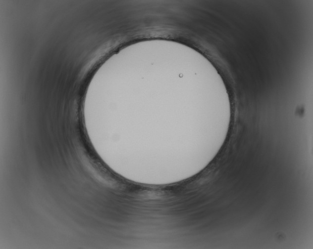 X0000115790250200912241837