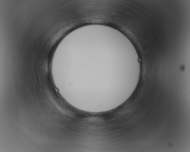 X0000115790251200912241837