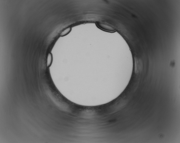 X0000115790252200912241837