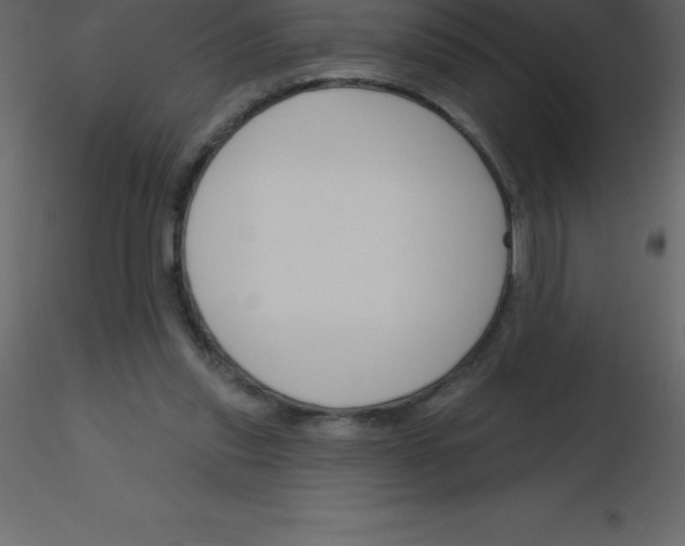 X0000115790253200912241837