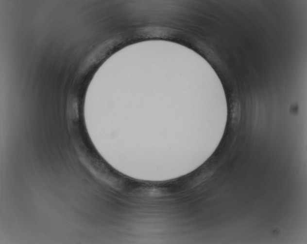 X0000115790254200912241837