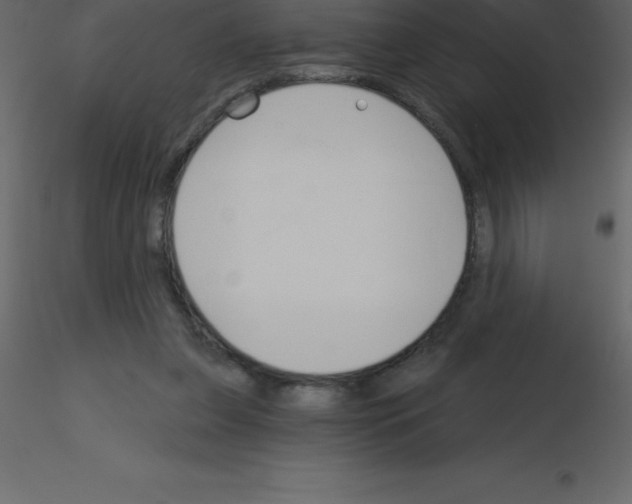 X0000115790255200912241837