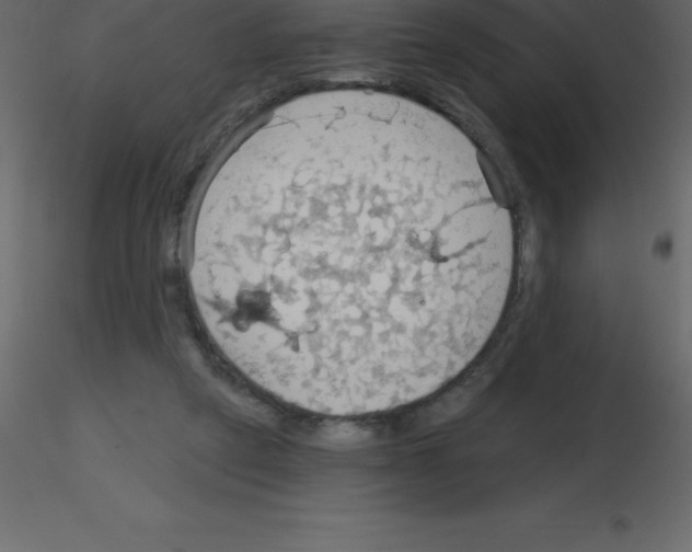 X0000115790257200912241837