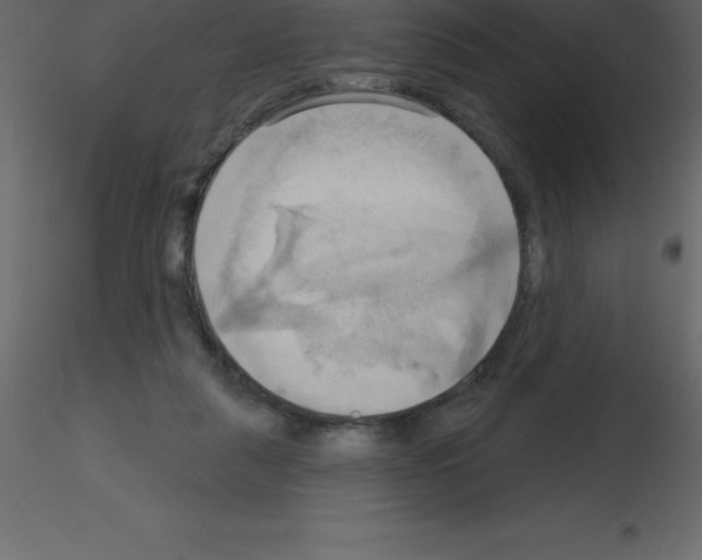 X0000115790259200912241837