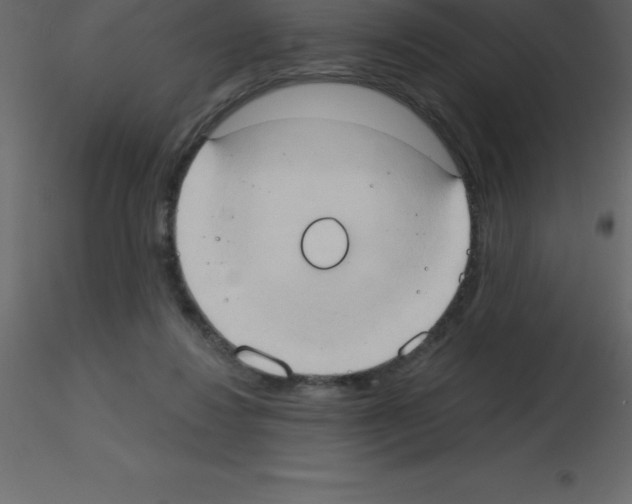 X0000115790260200912241838