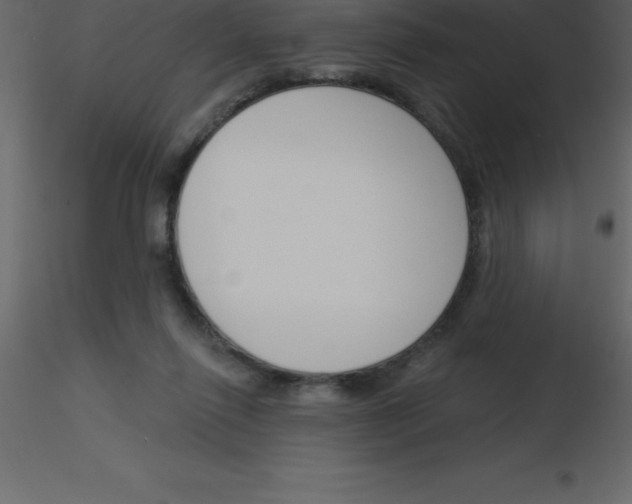 X0000115790262200912241838