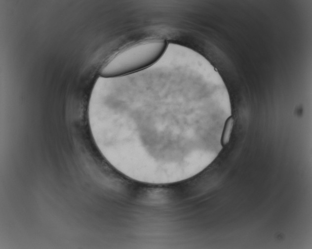 X0000115790268200912241838
