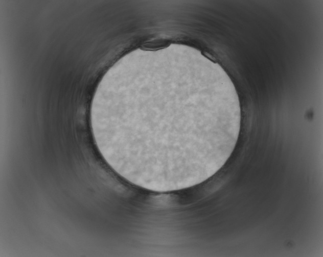 X0000115790269200912241838