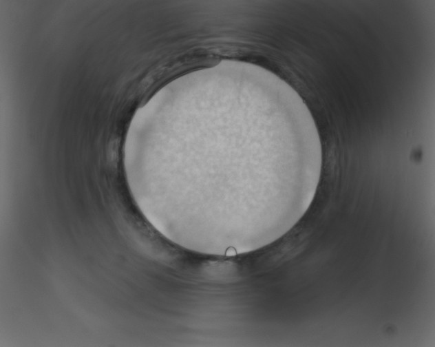 X0000115790271200912241838