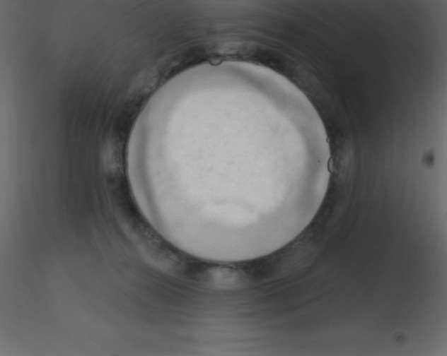 X0000115790272200912241838