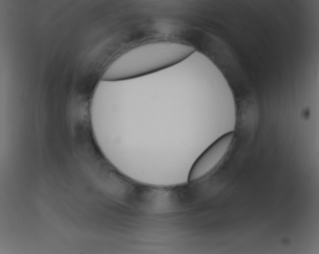 X0000115790276200912241838