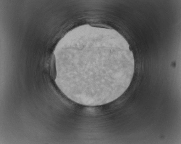 X0000115790277200912241838