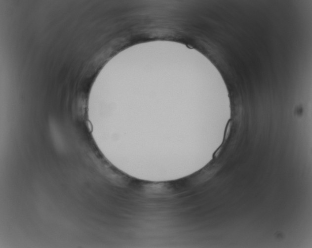 X0000115790281200912241838