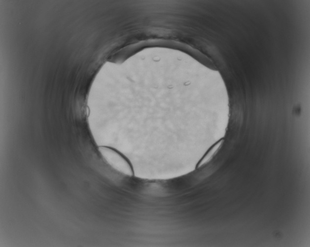 X0000115790285200912241838