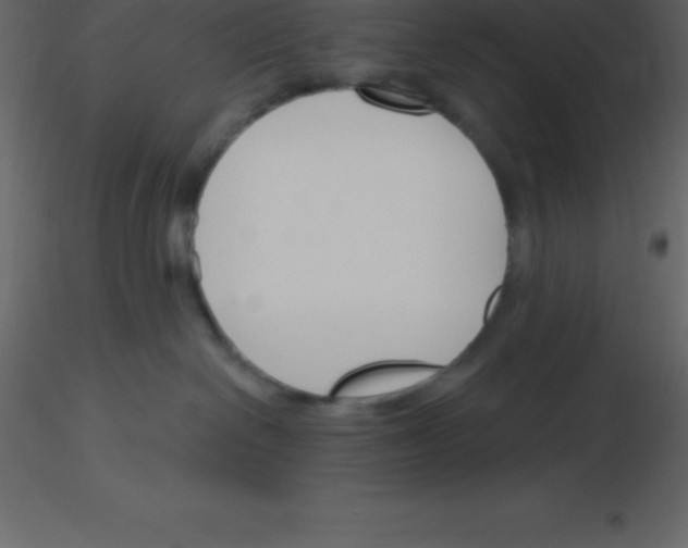 X0000115790286200912241838